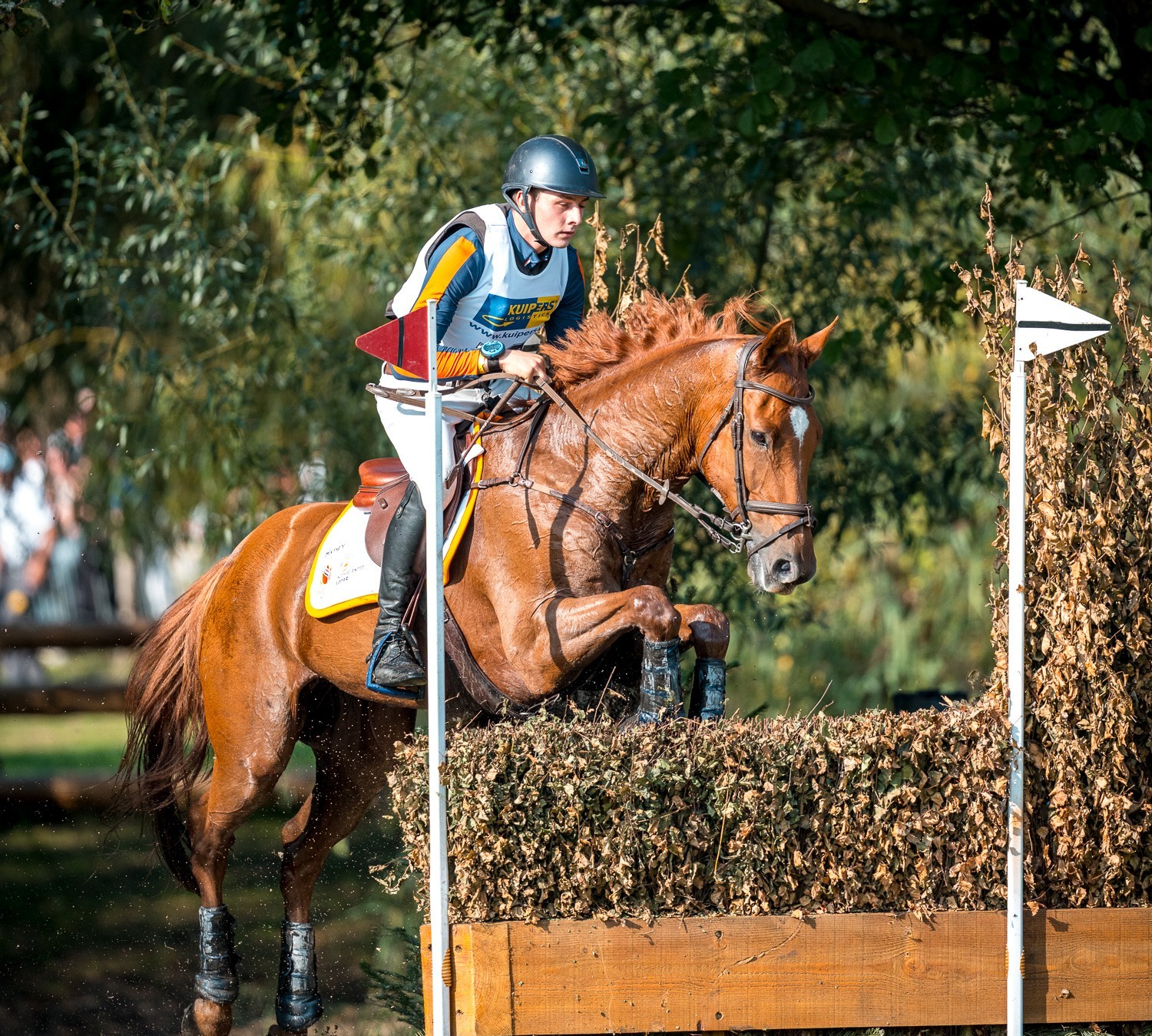 Military Boekelo: De Blaauw voert NK aan, TeamNL stijgt een plek