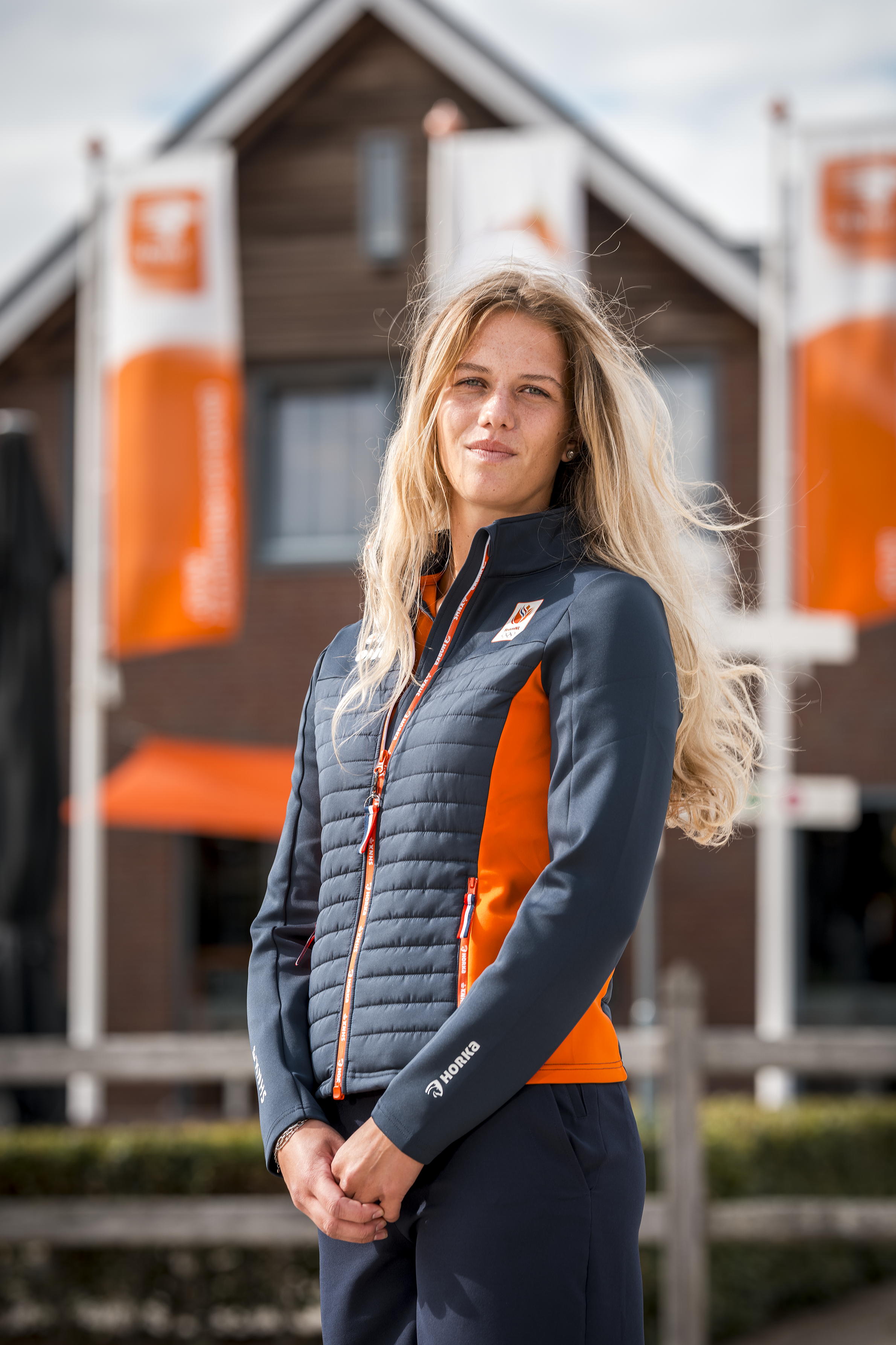 Houte, Sterre van