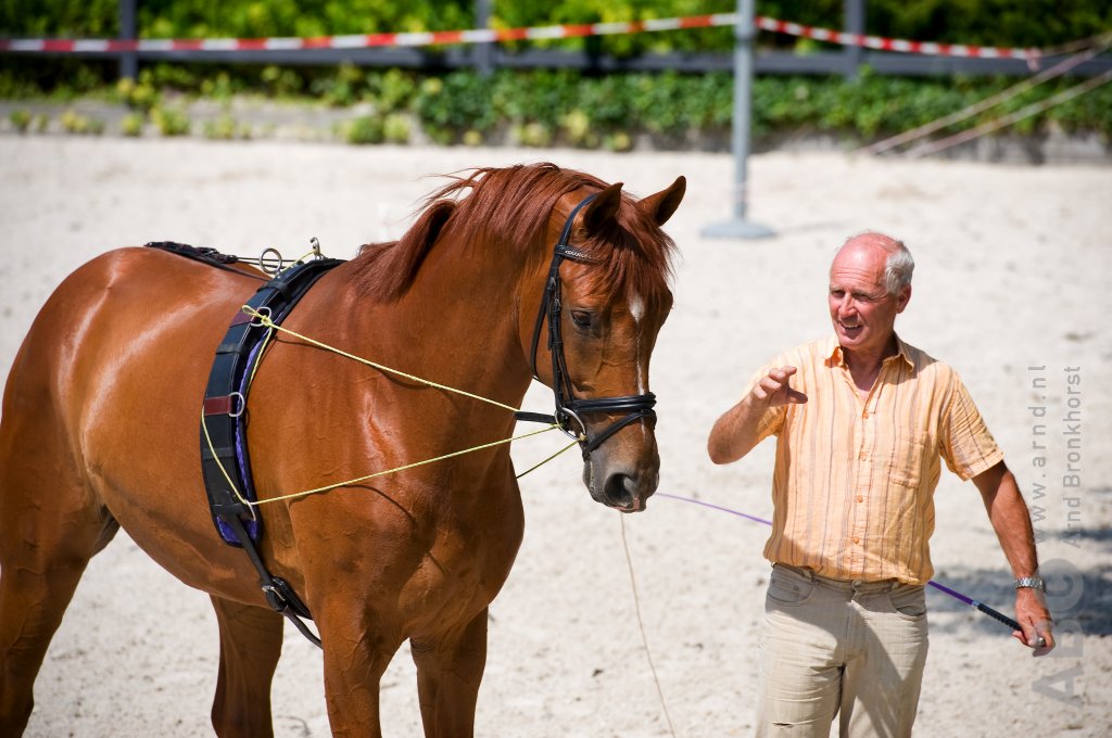 KNHS Theorie Tour: Van rondjes naar resultaat: correct trainen aan de longe
