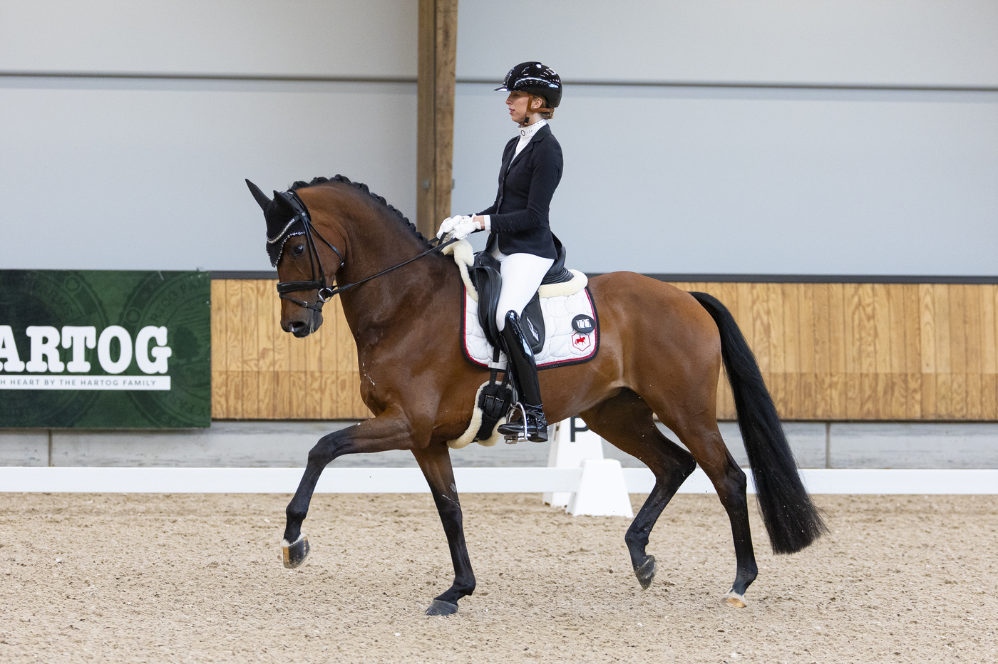 Volg de KNHS Indoorkampioenschappen 2026 hier 