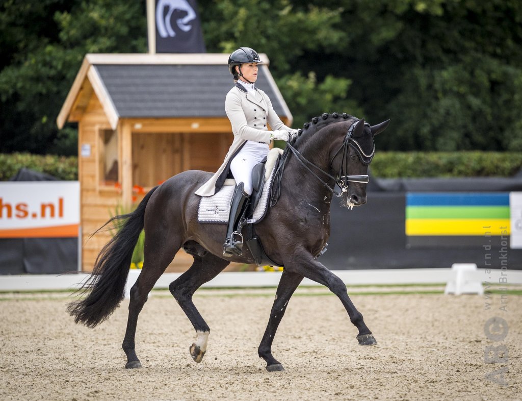 Derde N.O.P. Talentdag op 10 juni in Ermelo