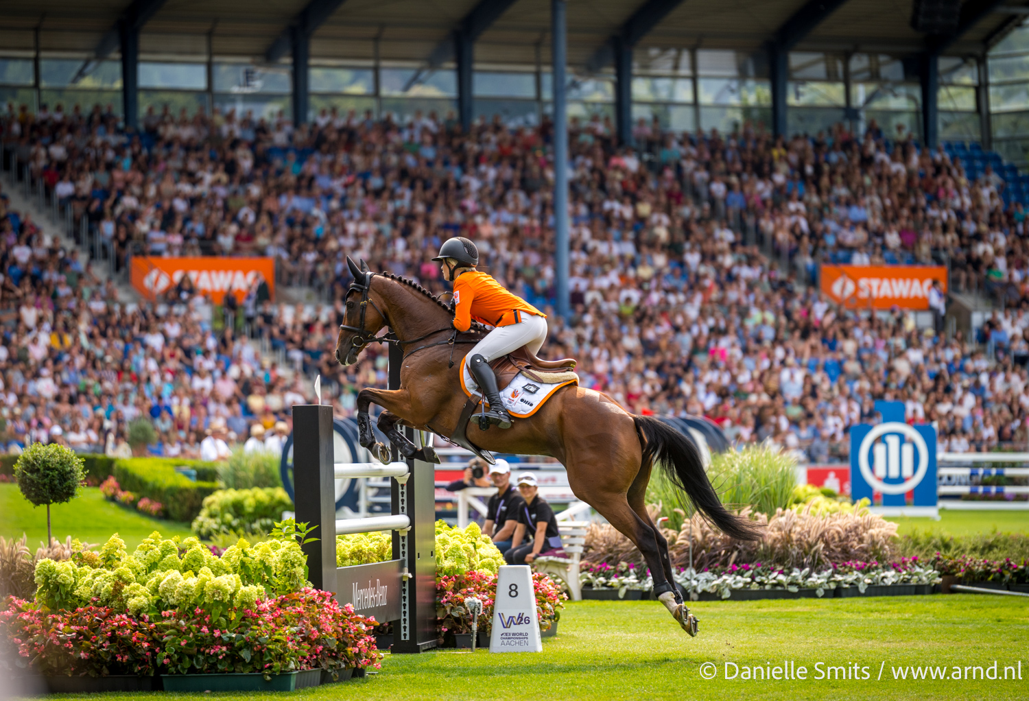 Geen olympisch ticket, wel veel geleerd door jong Eventingteam