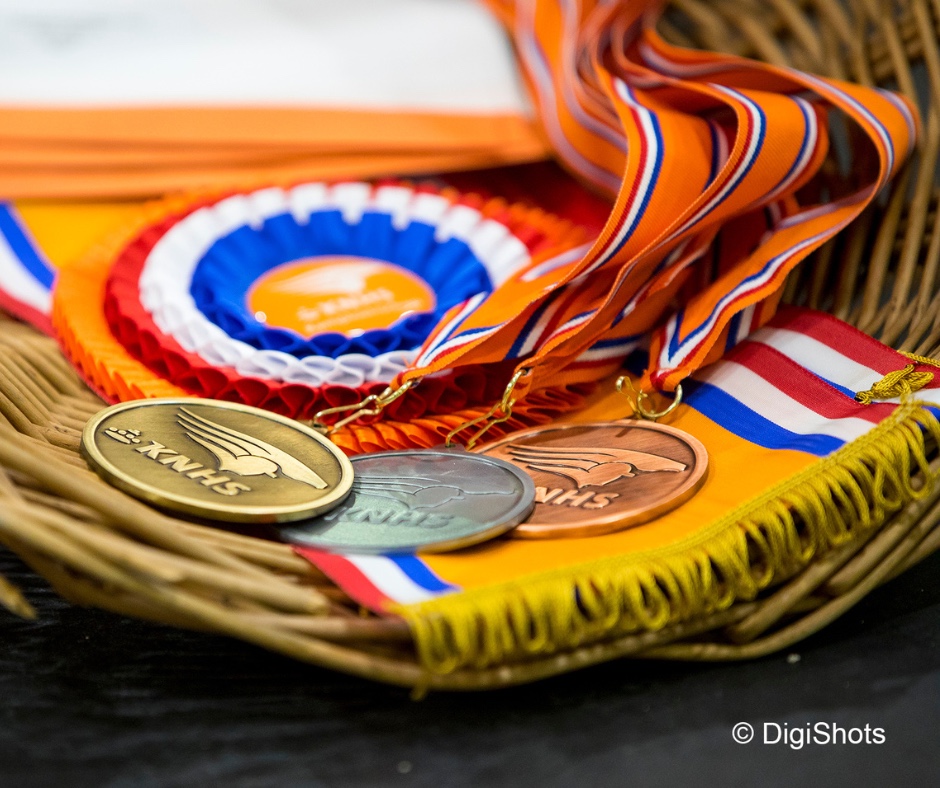 (Open) Inschrijving voor de Hippiade 2025 