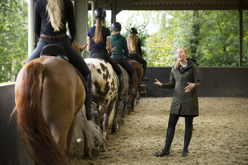 Vernieuwde Manege Instructeursopleidingen per 1 september