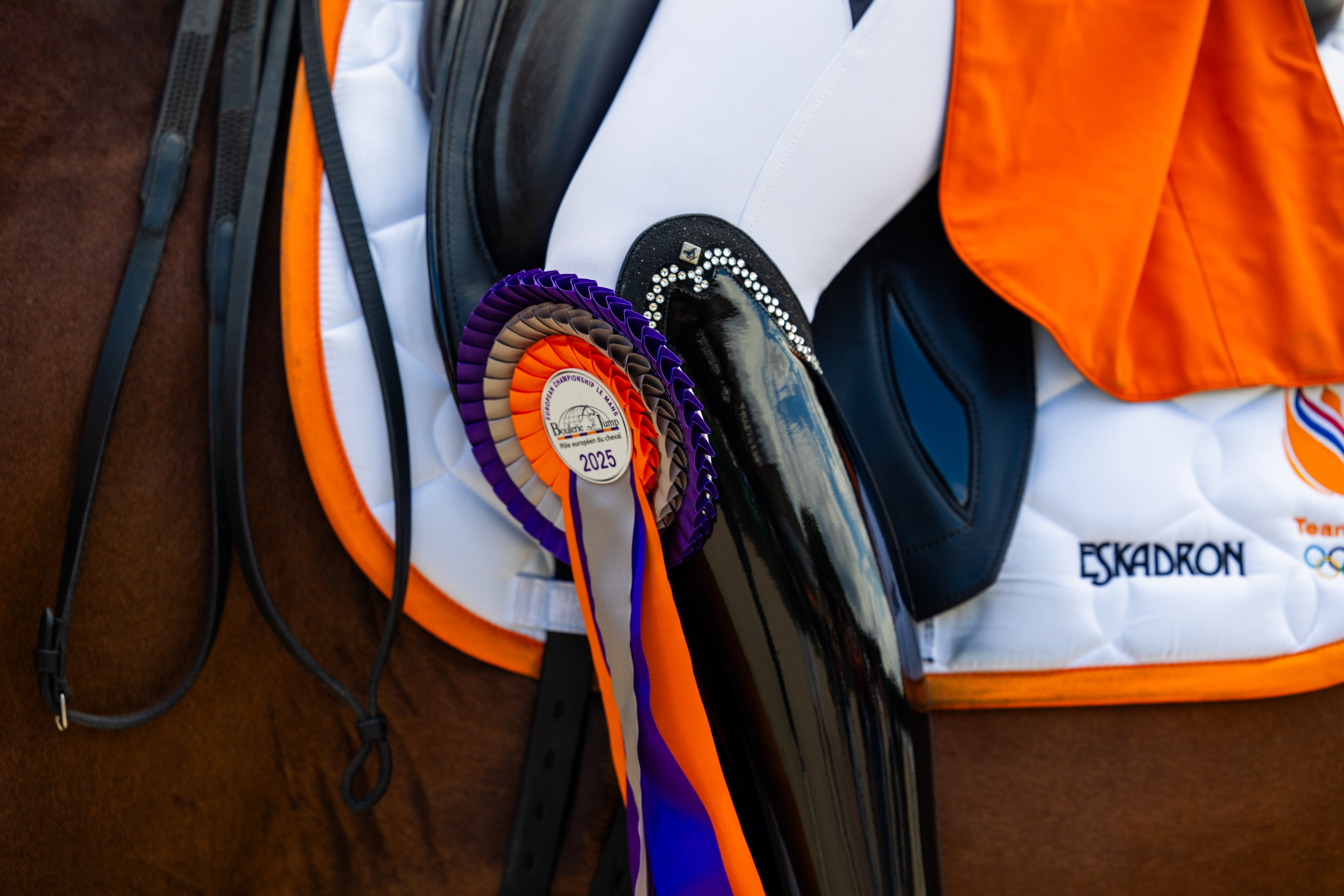 Internationale kampioenen en medaillewinnaars 2025 