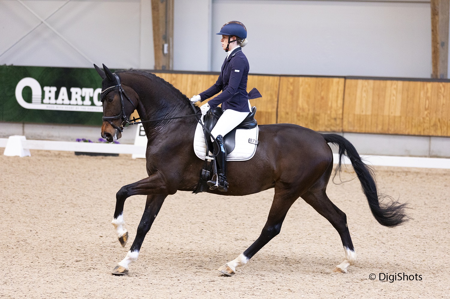 NHC oefendressuur op 17 & 18 januari 2026