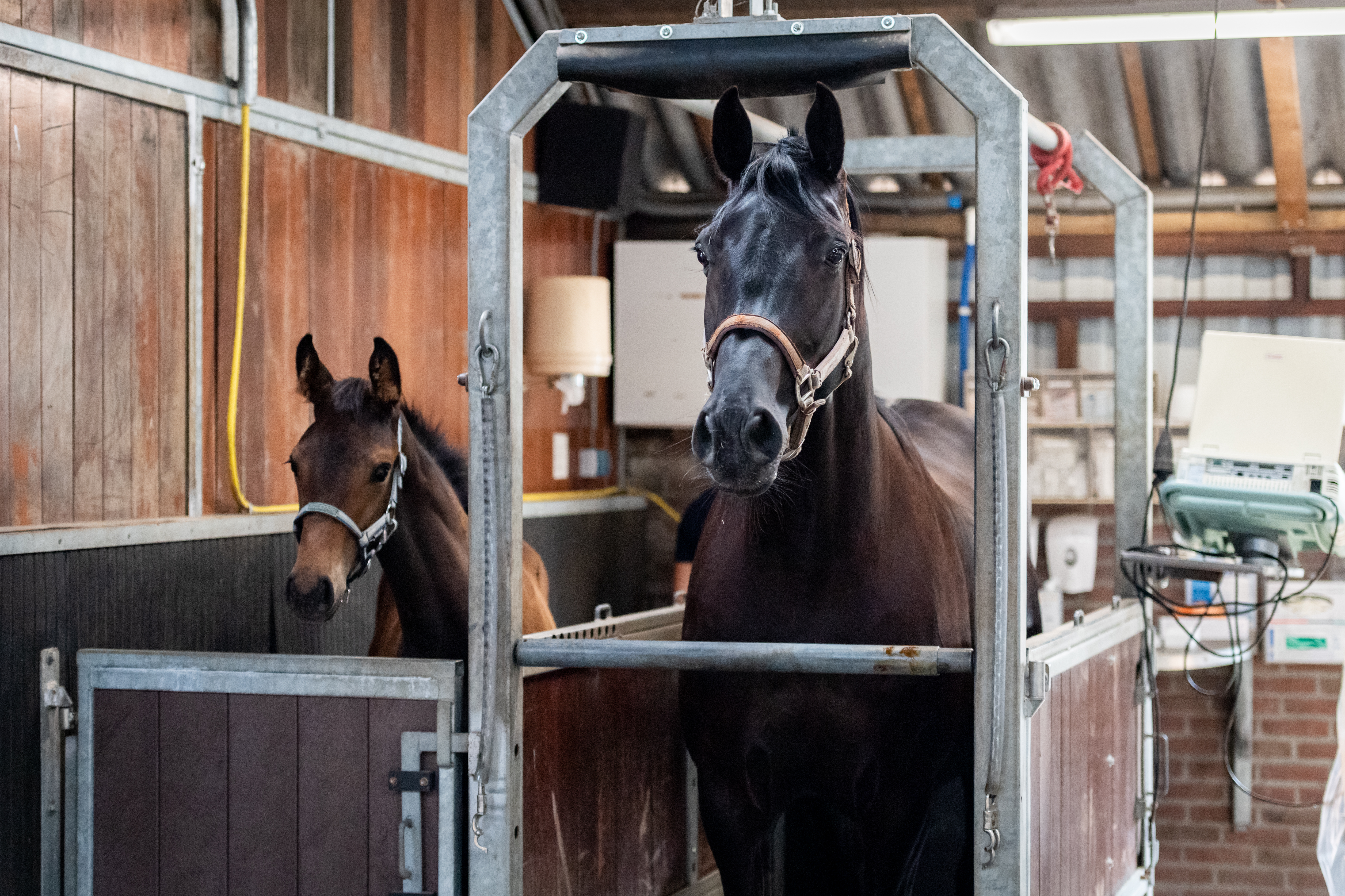 Van hartslag tot afspenen: het volledige traject toegelicht