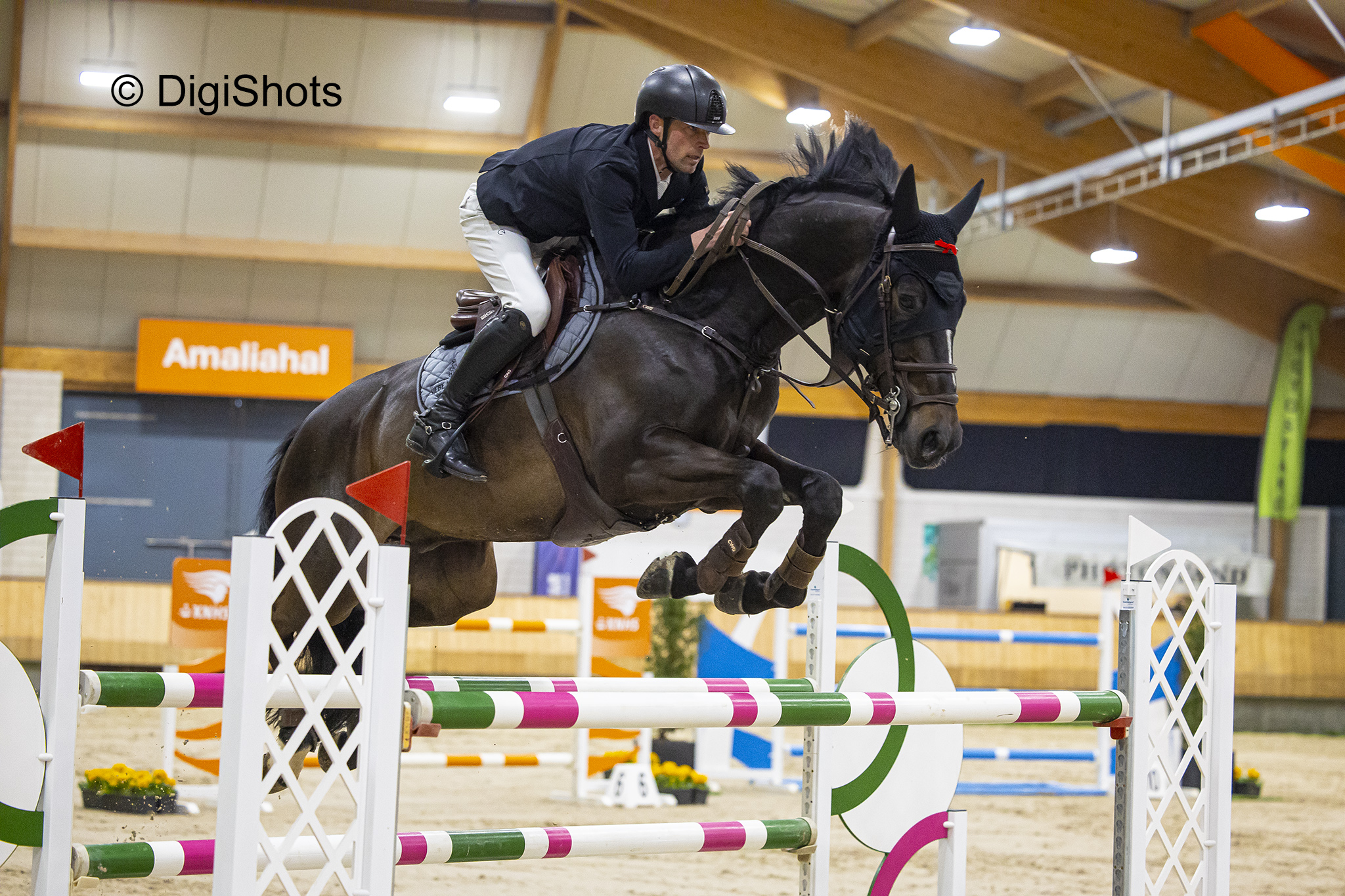 (Open) Inschrijving voor KNHS Indoorkampioenschap 2026