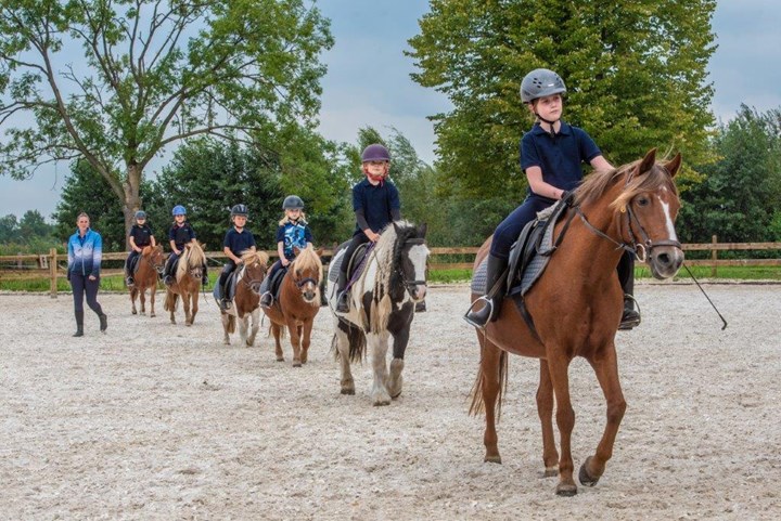 Vernieuwde Manege Instructeursopleidingen per 1 september