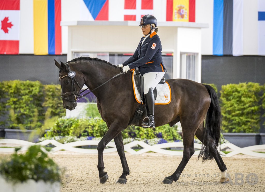 Data en vernieuwd format KNHS Para Dressuur Trophy