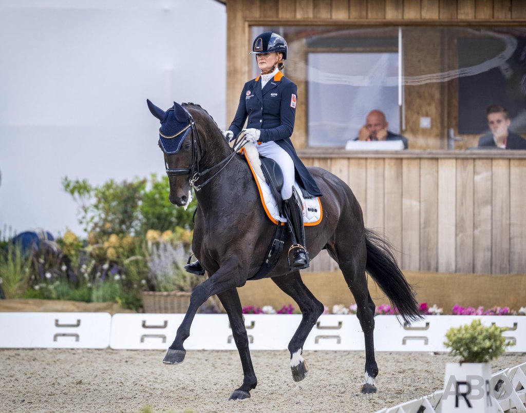 Zantana RS2 OLD en Pretty Woman van ‘t Paradijs vastgelegd door N.O.P.