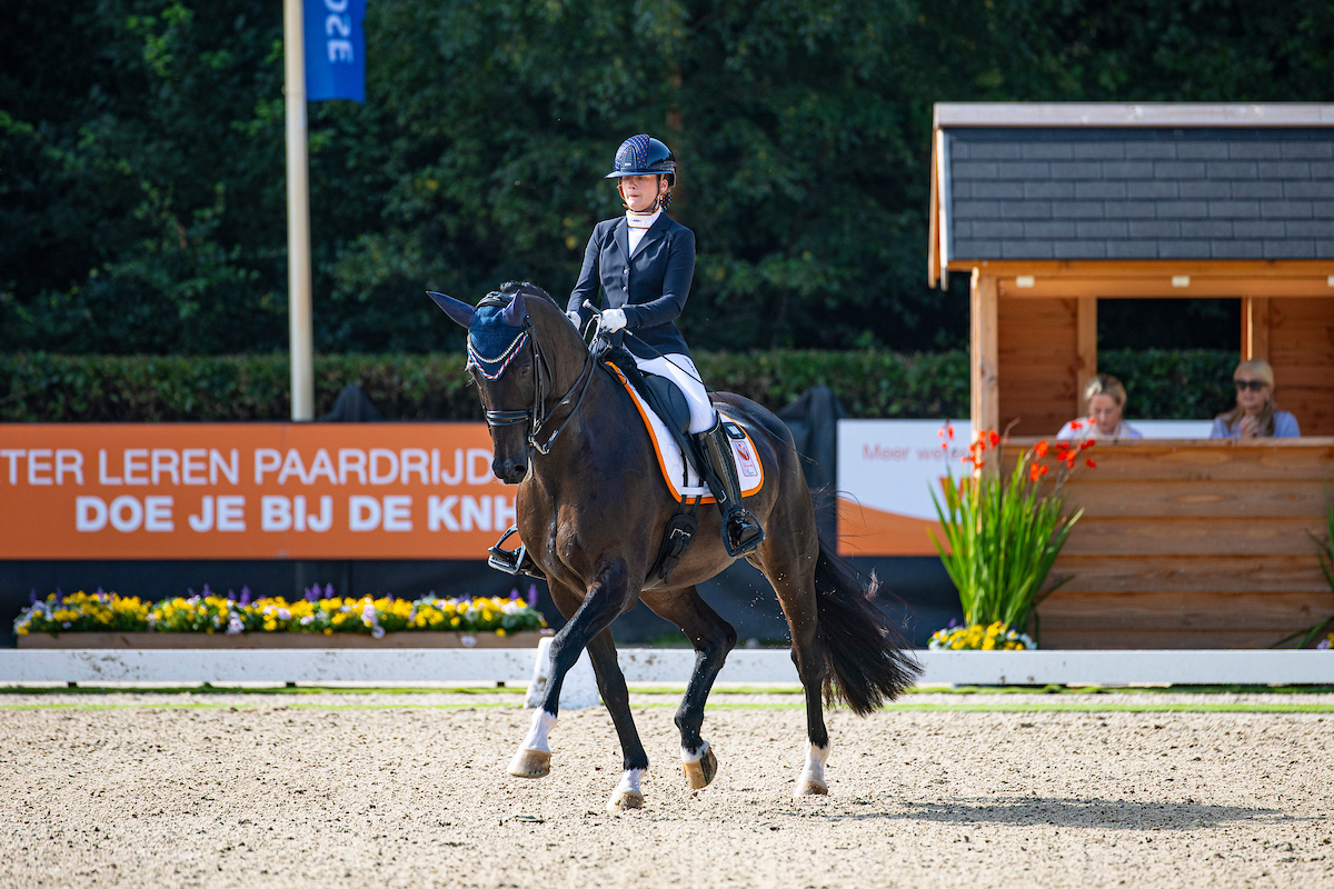 Europese paradressuurtop in Ermelo