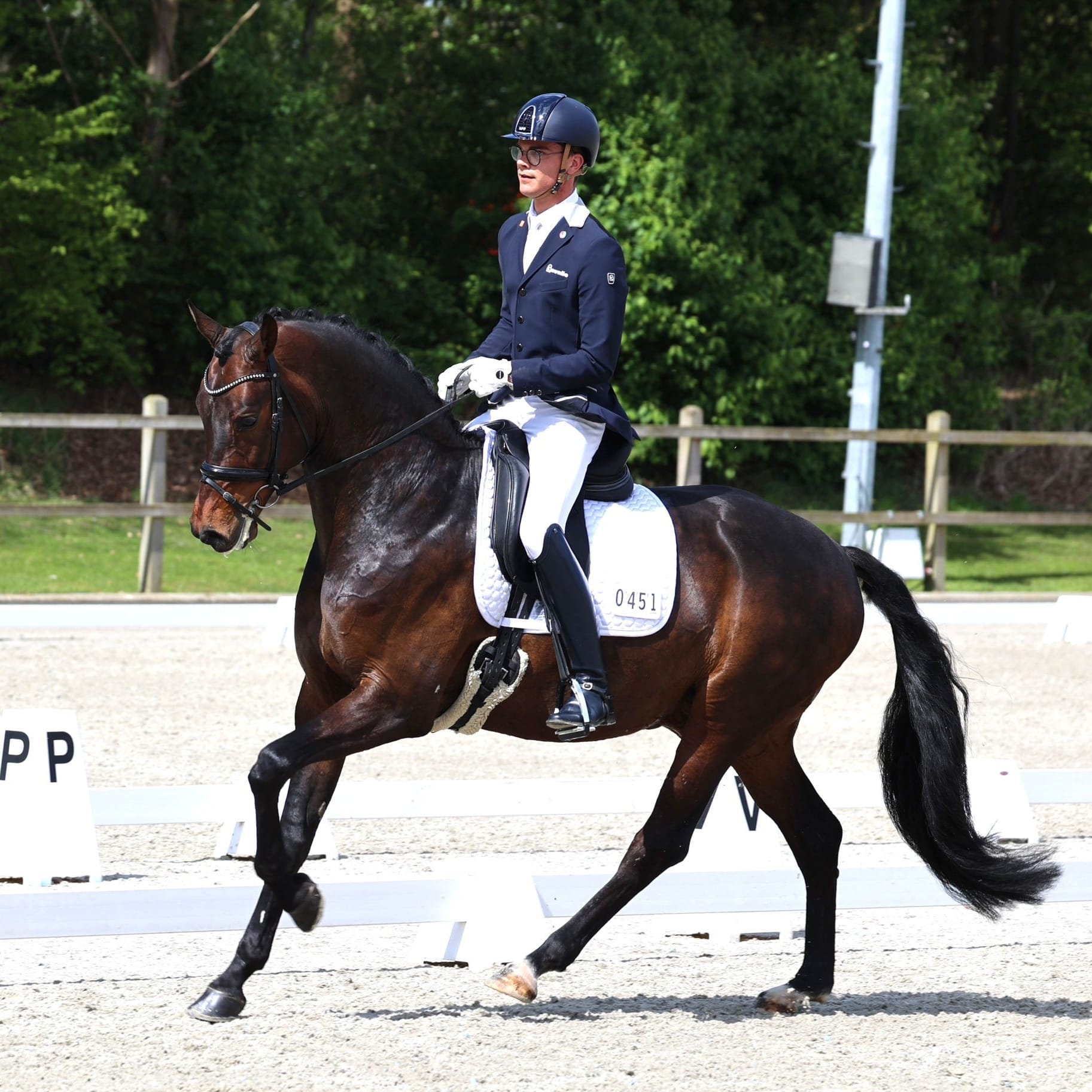 Pilotprogramma voor jonge paardenrubrieken van start 