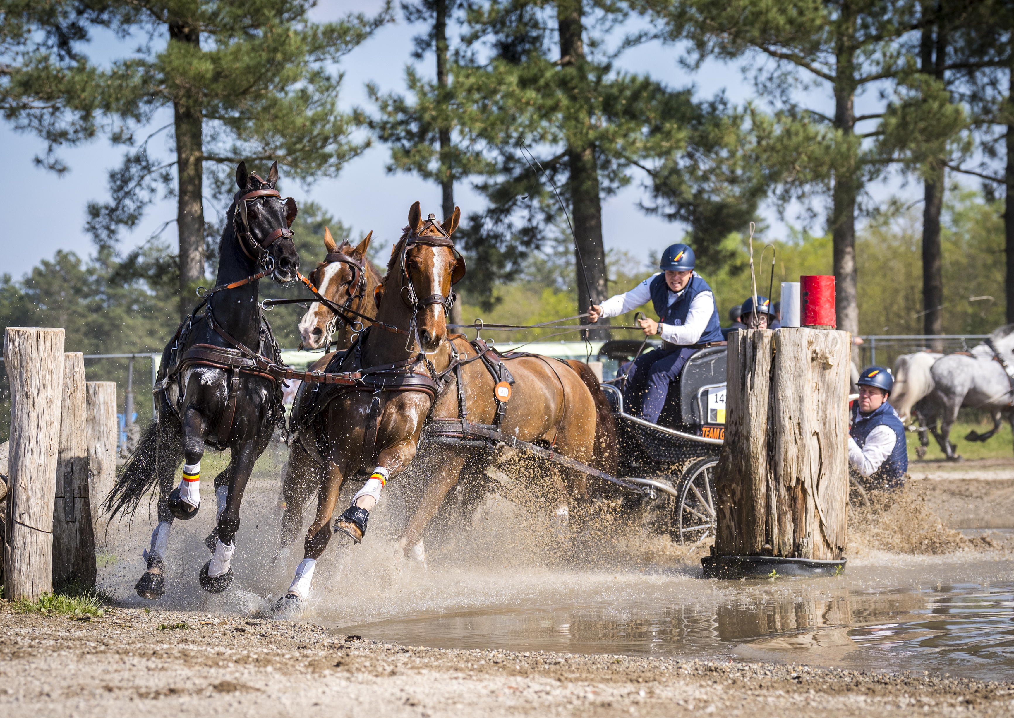 KNHS College Tour met Glenn Geerts 